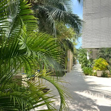 Apartment Luxury, Y Exclusivo1 Linea Playa Privada